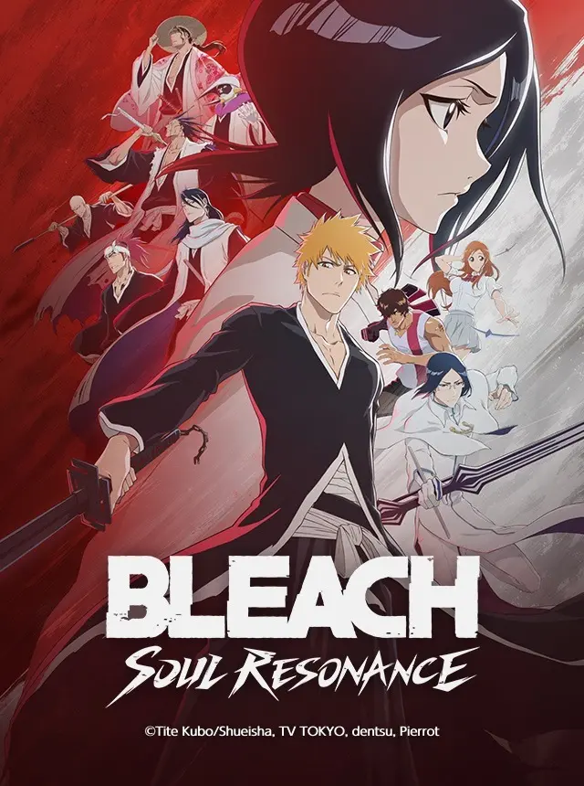 Bleach Soul Resonance